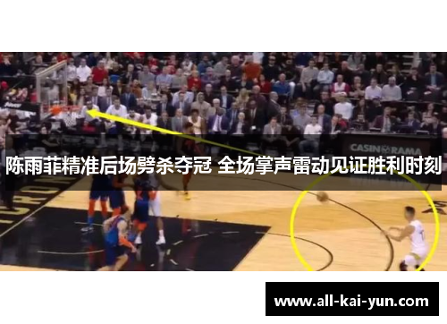 陈雨菲精准后场劈杀夺冠 全场掌声雷动见证胜利时刻 陈雨菲精准后场劈杀夺冠 全场掌声雷动见证胜利时刻