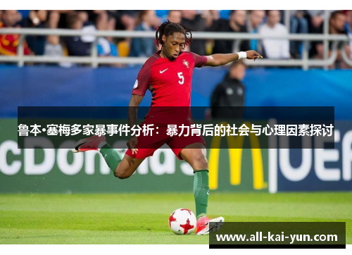 鲁本·塞梅多家暴事件分析：暴力背后的社会与心理因素探讨